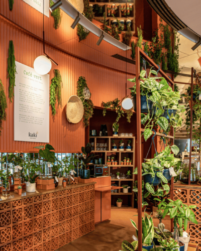 PRINTEMPS - Création d'un café végétal Kaki x Printemps Haussmann pendant un an. 
Élaboration de l'architecture et l'aménagement végétal du lieu ainsi que la végétalisation de tout le dernier étage du magasin sous la coupole. - Kaki Paris
