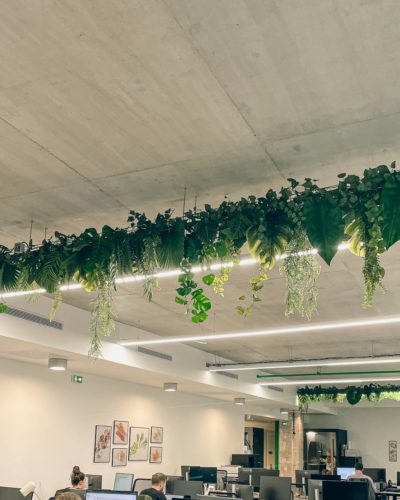 Hellofresh - Création de suspensions végétales dans les bureaux de la marque. - Kaki Paris