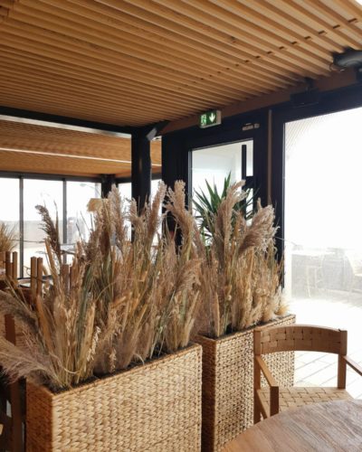 Pano beach - Végétalisation avec plafond floral et composition en fleurs séchées pour les différents espaces du restaurant à Pornichet. - Kaki Paris