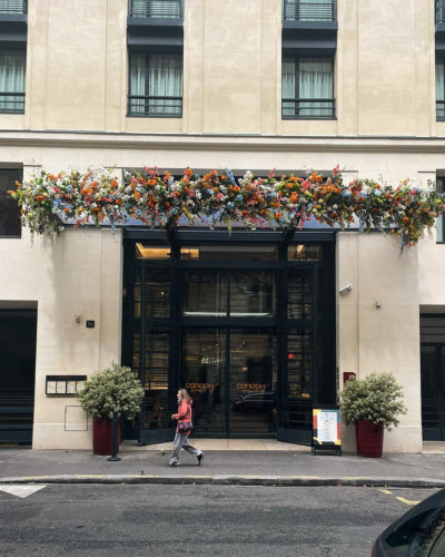 Hilton - Végétalisation de la marquise de l'entrée de l'hôtel à 10 mètres de hauteur.  - Kaki Paris