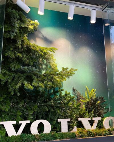 Volvo - Scénographie végétale de la vitrine du BHV Marais à l'occasion d'un pop de la marque Volvo. - Kaki Paris