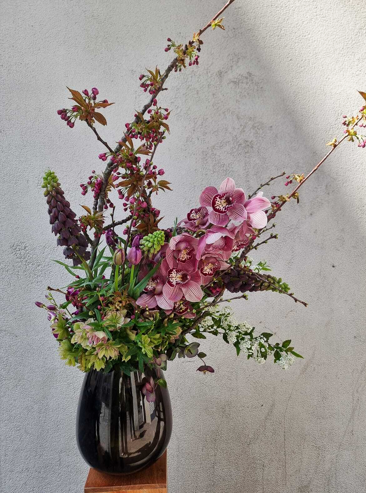 Kinugawa - Kaki Paris