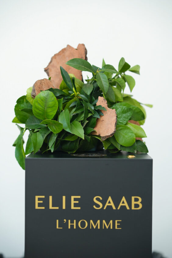 Elie Saab - Kaki Paris