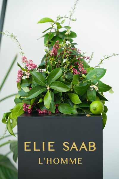 Elie Saab - Kaki Paris