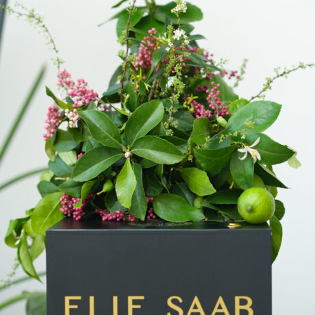 Elie Saab - Kaki Paris