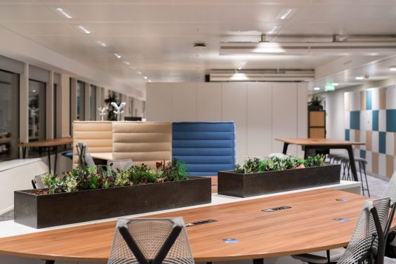 Sap - Kaki Paris