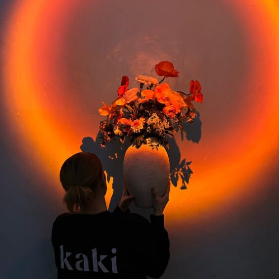 Derrière Kaki - Kaki Paris