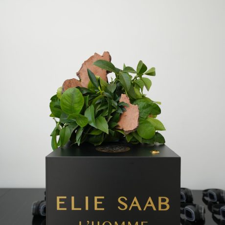 Elie Saab - Kaki Paris