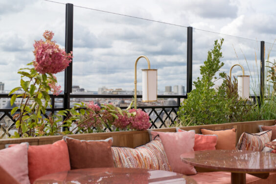 Kinugawa - Kaki Paris