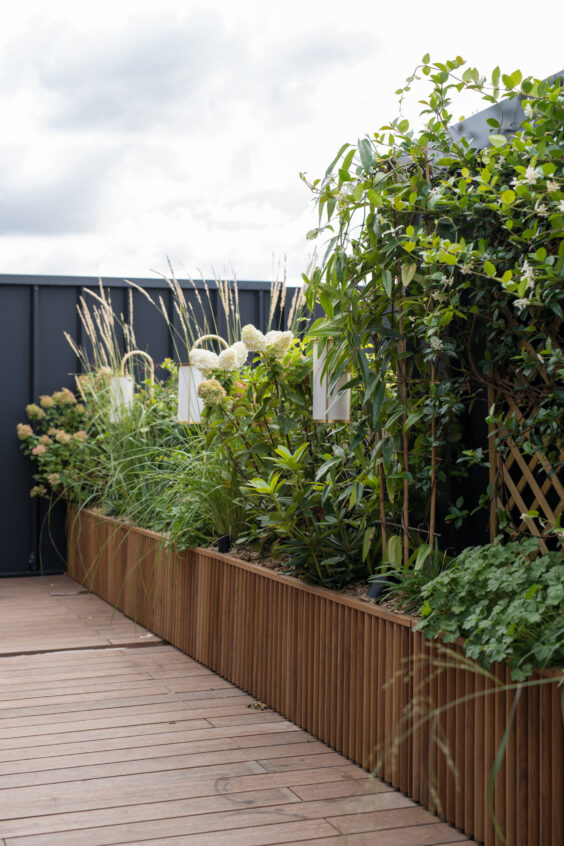 Kinugawa - Kaki Paris