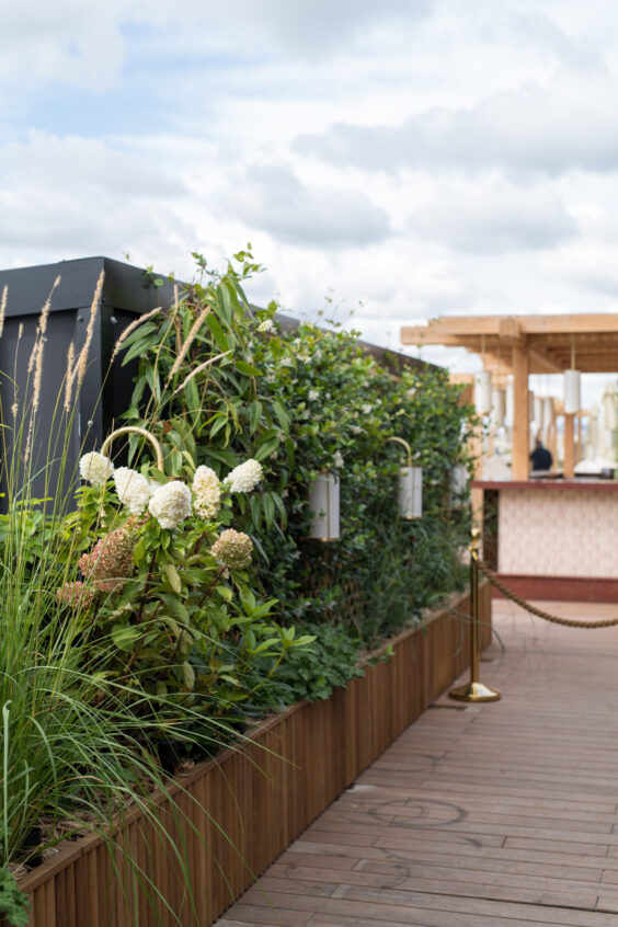 Kinugawa - Kaki Paris