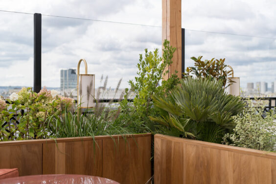 Kinugawa - Kaki Paris