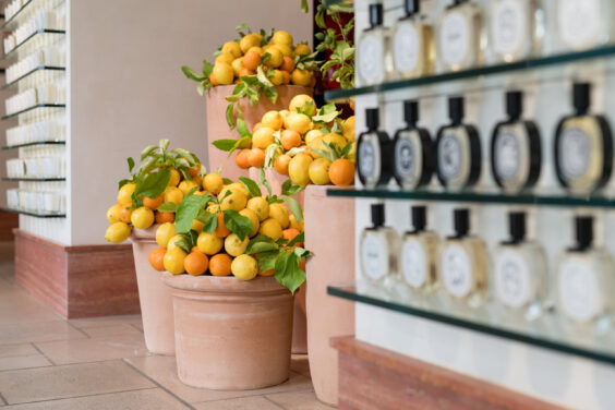 Diptyque - Kaki Paris