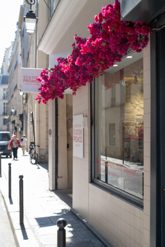 Promod - Kaki Paris