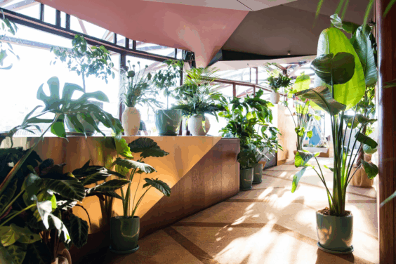 Les Ombres - Kaki Paris