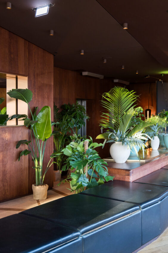 Les Ombres - Kaki Paris