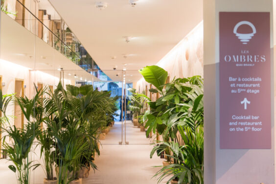 Les Ombres - Kaki Paris