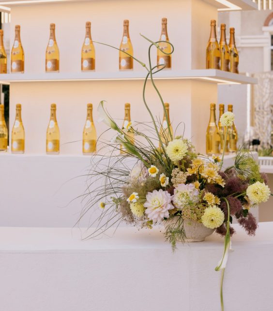 Louis Roederer - Kaki Paris